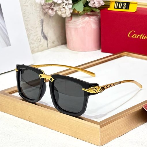 CRT PREMIUM LUXURY 003 WAYFARERS