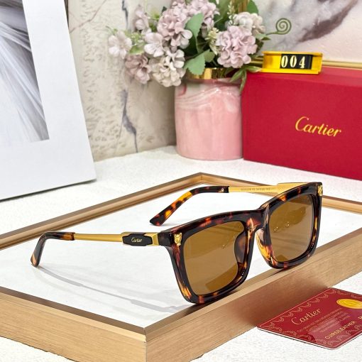 CRT PREMIUM LUXURY 004 WAYFARERS - Image 12