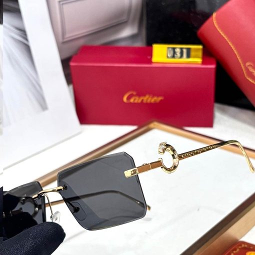 CRT Luxe 031 Men Aviators - Image 10
