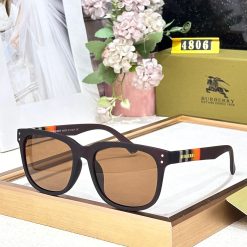 BB Luxury Premium 4806 Wayfarers