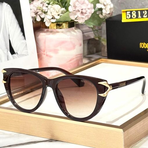 RBRTO CVALI Luxury Premium 58129 Wayfarers - Image 5