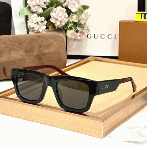 GC Premium 1668 Wayfarers