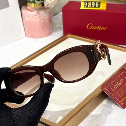 CRT Premium Women 9896 Wayfarers - Image 3