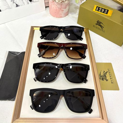 BB Premium Luxury 4293 Wayfarers - Image 9