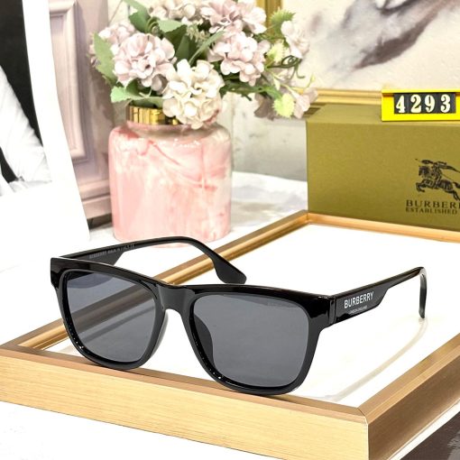 BB Premium Luxury 4293 Wayfarers - Image 4