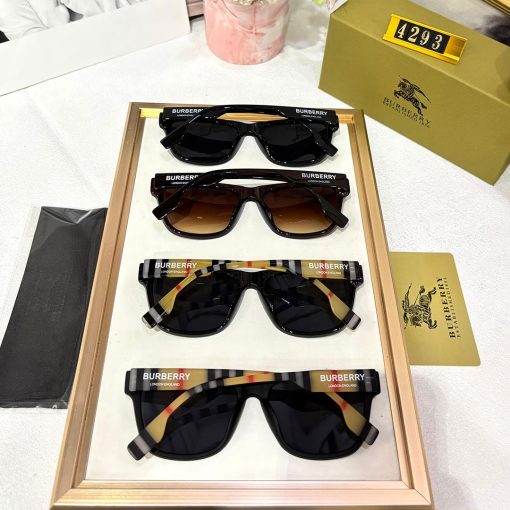 BB Premium Luxury 4293 Wayfarers - Image 10