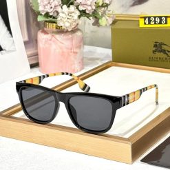BB Premium Luxury 4293 Wayfarers