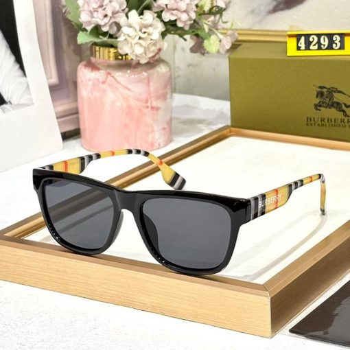 BB Premium Luxury 4293 Wayfarers