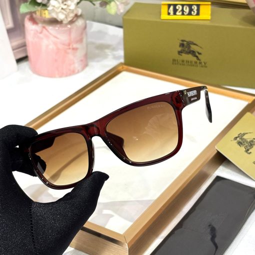 BB Premium Luxury 4293 Wayfarers - Image 6