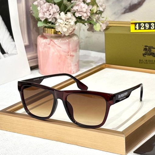 BB Premium Luxury 4293 Wayfarers - Image 3