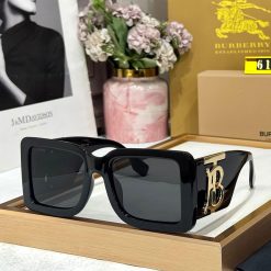 BB Luxury PREMIUM 6176 WAYFARERS