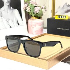 TMMY H Luxury PREMIUM 2118 WAYFARERS