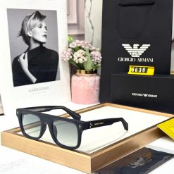 Alternative view of EMPORIO ARMANI Luxury Premium 6630 Wayfarers