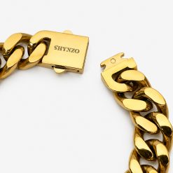 Titan – Gold Link - Image 3