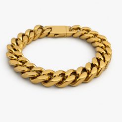 Titan – Gold Link