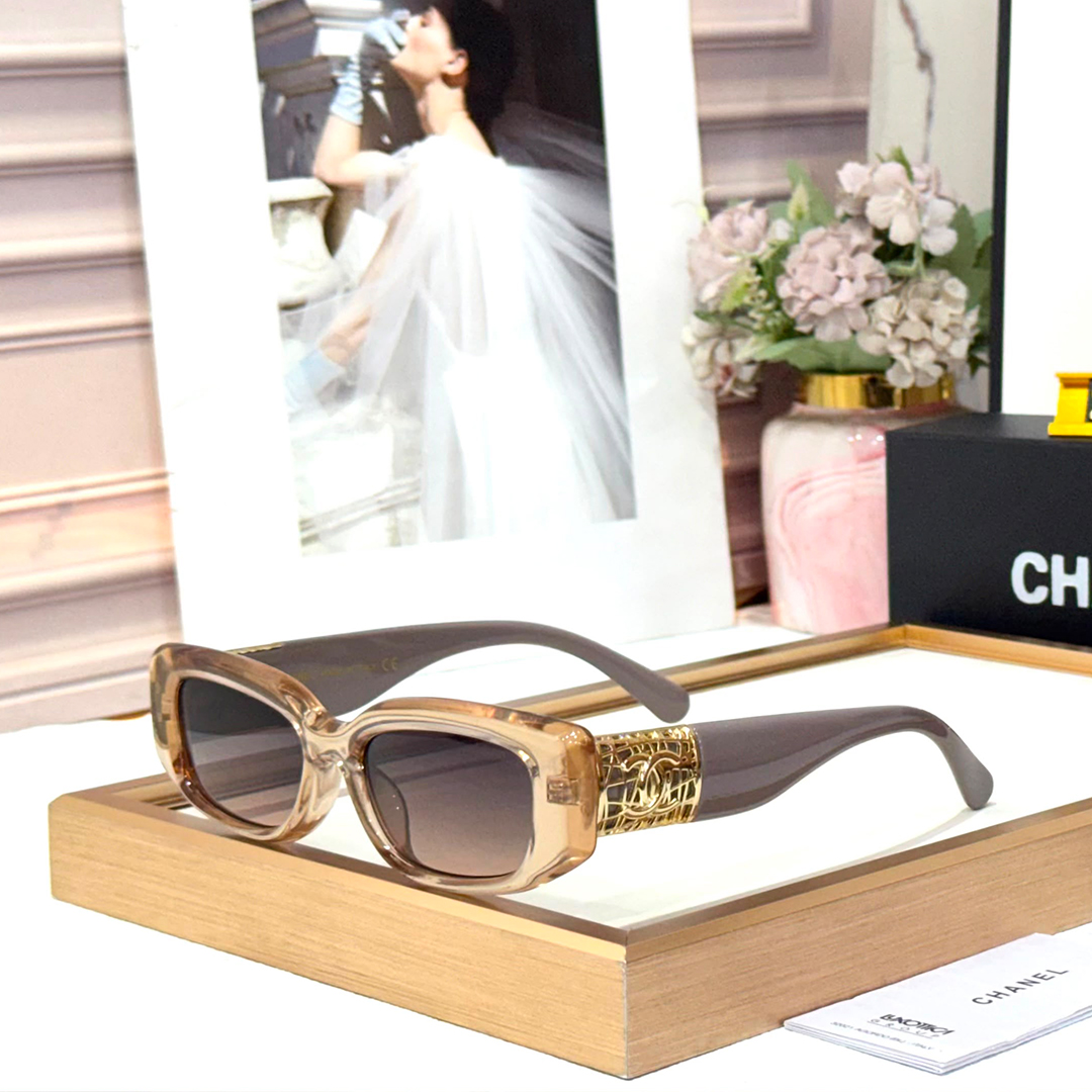 CHL Luxury Premium 2931 Women Wayfarers