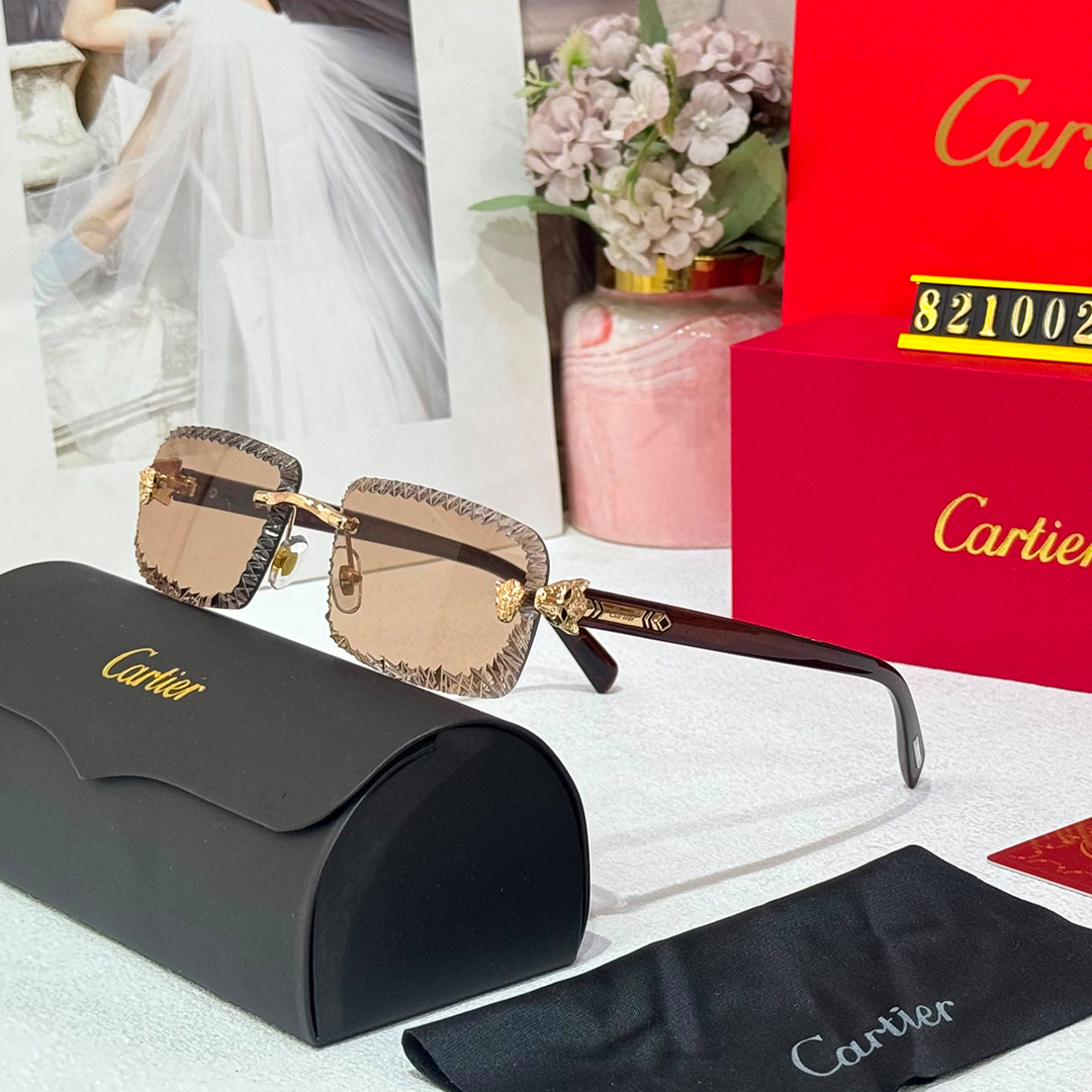 CRT Luxury Premium 821002 Aviators - Image 4