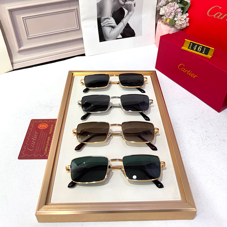 PRDA Luxury Premium 1461 Aviators - Image 8