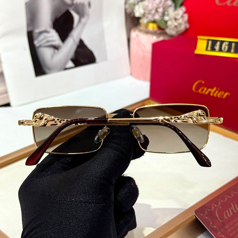 PRDA Luxury Premium 1461 Aviators - Image 5