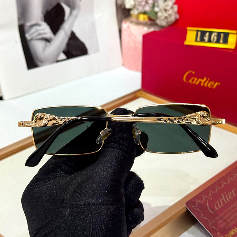 PRDA Luxury Premium 1461 Aviators - Image 6